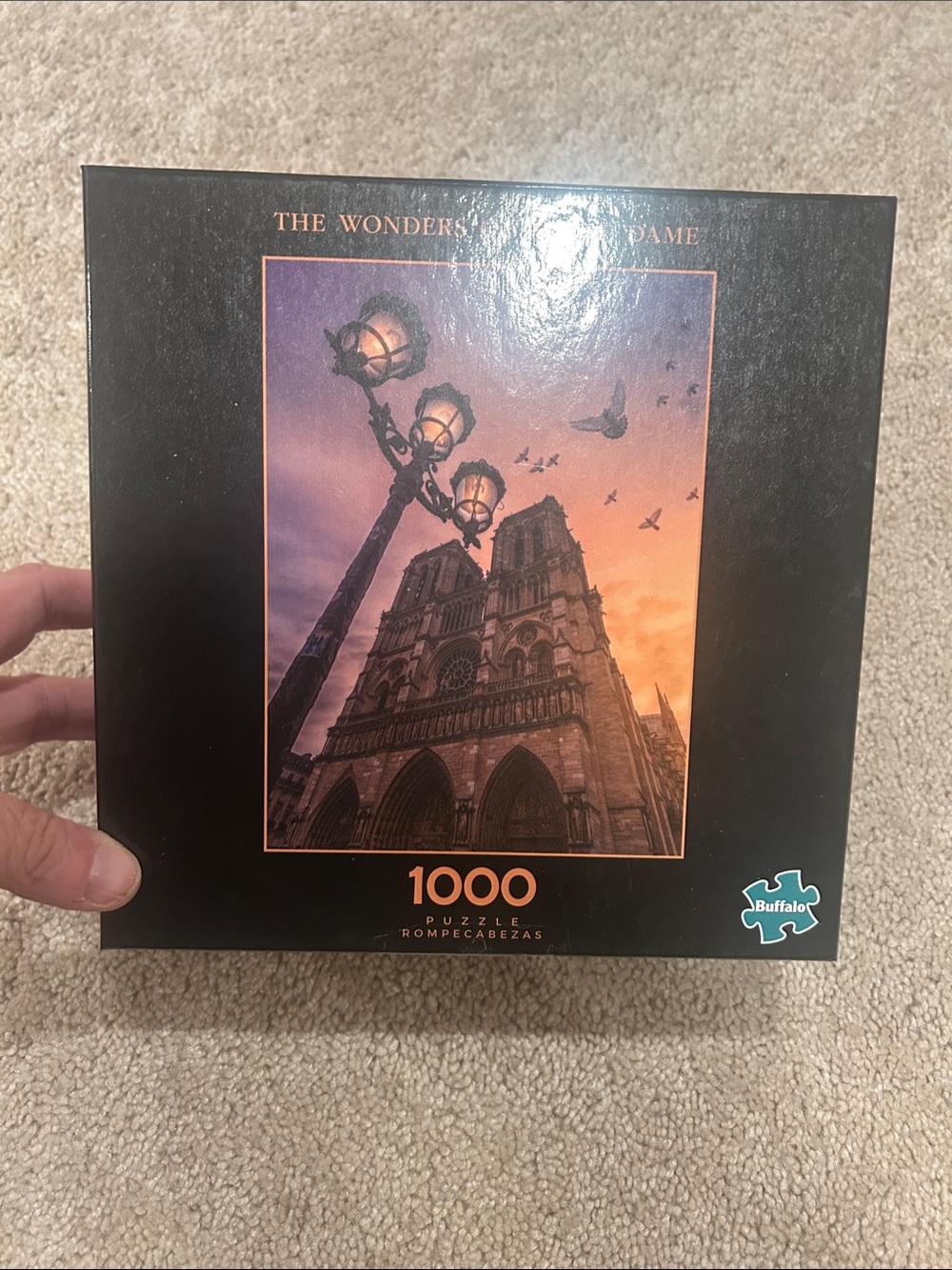 Buffalo 1000-Piece Notre Dame Sunset Puzzle - Black